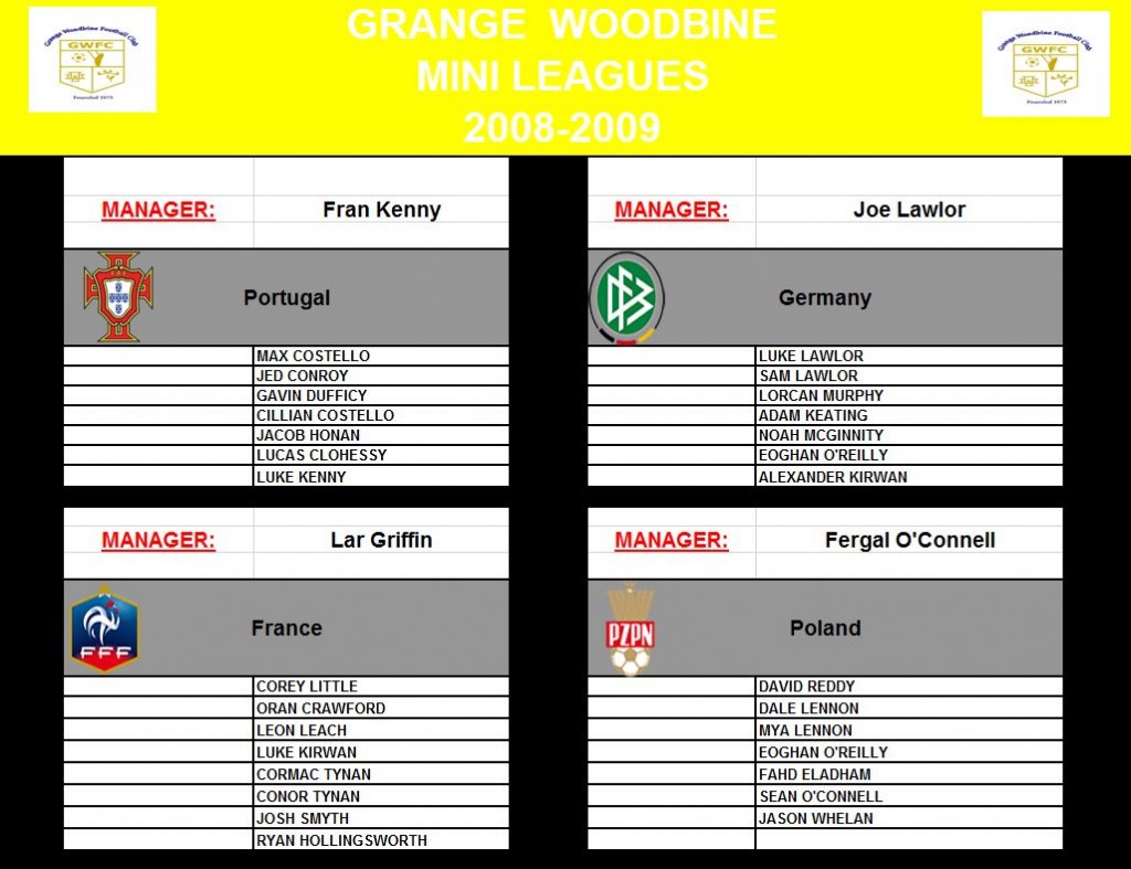 2008-2009 Yellow LeagueTeams