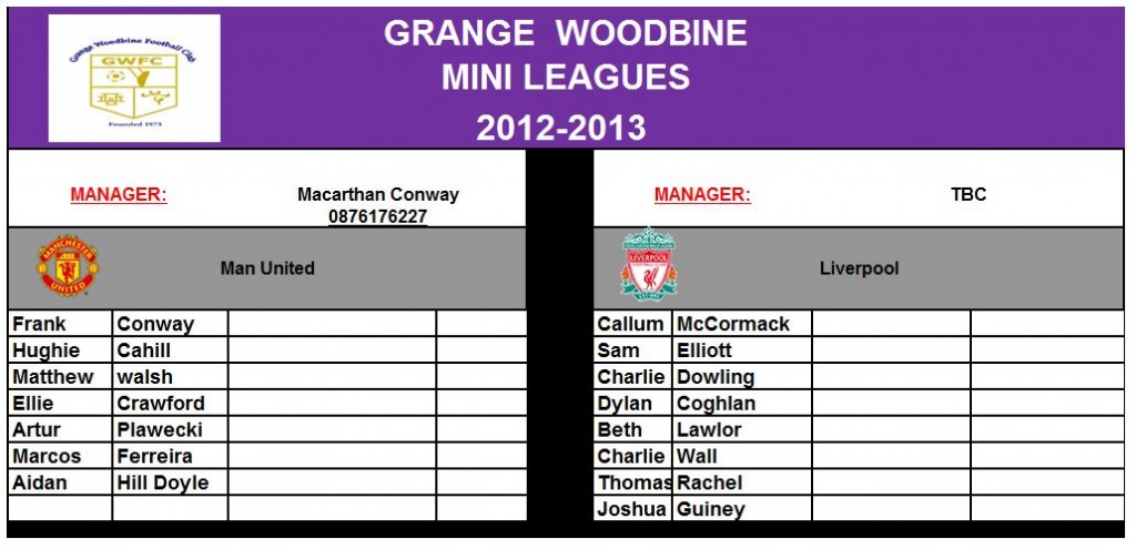Academy 2012_2013 Teams